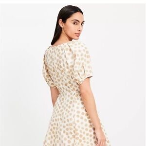 LOFT Cream and Tan Polka Dot Dress